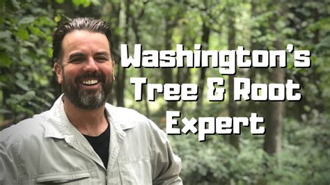Washingtons Leading Expert On Trees And Tree Roots Root Cause Seattle