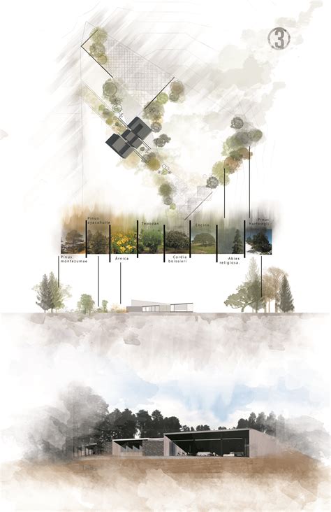 Landscape Architecture Presentation Sheets Image To U