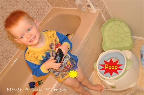 Never A Dull Moment Potty Training