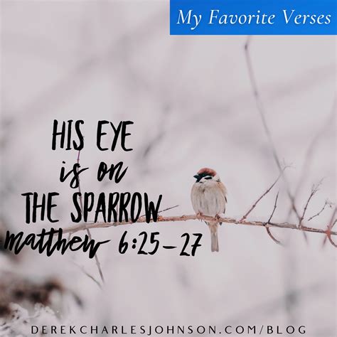 His Eye Is On The Sparrow — Matthew 625 27 My Favorite Verses