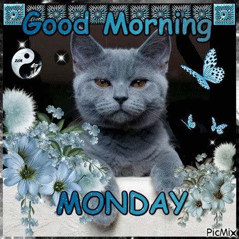 Blinking Cat Good Morning Monday Animation Pictures Photos And Images