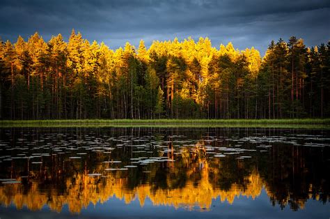 Nature Trees Autumn Lake Reflection Reflections Hd Wallpaper Pxfuel