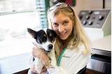 Cedar Veterinary Clinic Photos