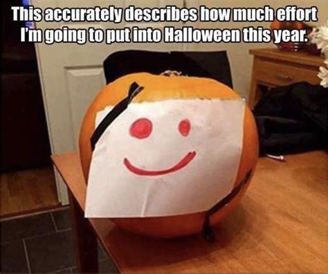 Pin By Dougspicks On Irreverent Humor Best Funny Pictures Halloween