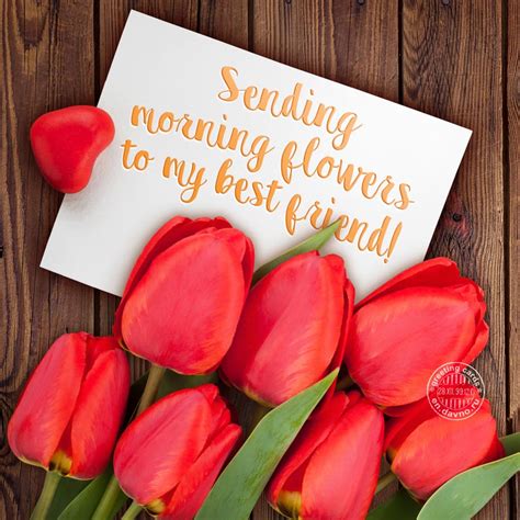 We did not find results for: Sending morning flowers to my best friend! - Download on ...