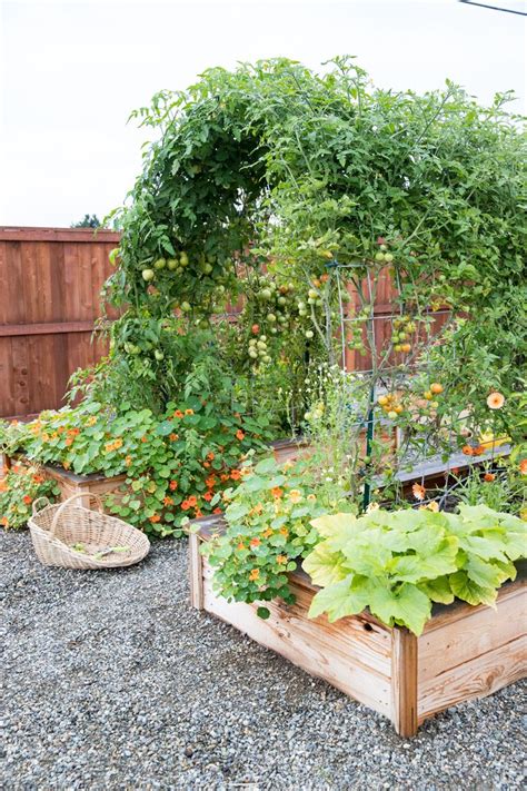 Raised Bed Garden Arch Trellis Vegetable Garden Design Home