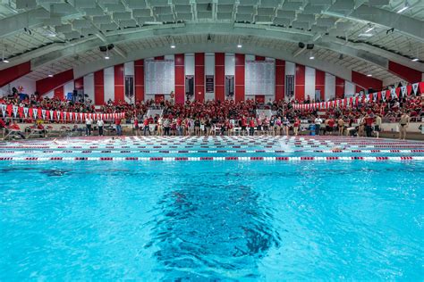 Nc State Swimming And Diving