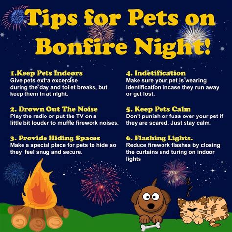 11 Best Staying Safe On Bonfire Night Images On Pinterest Bonfires