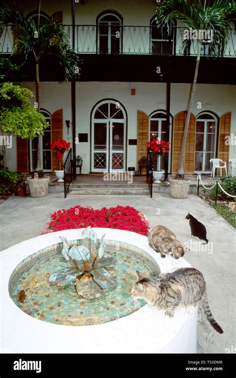 Key Westflorida Keysernest Hemingway House And Museumhistoryexhibit