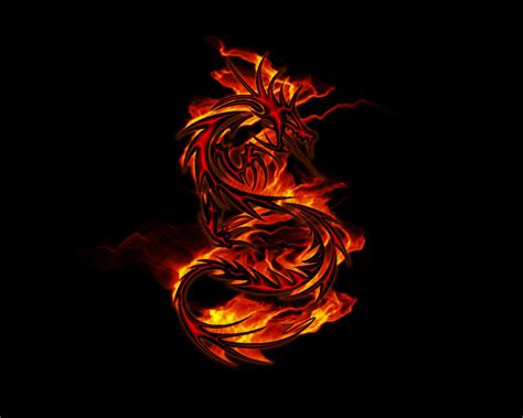 Flame Dragon By Marauderxla On Deviantart