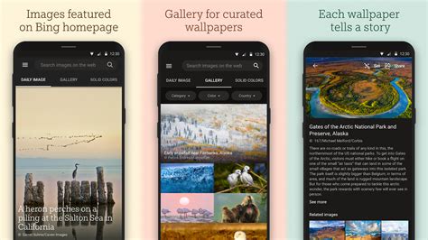 Bing Wallpapers App Launches With Daily Updates To Your Background Bestgamingpro
