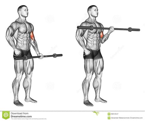 Exercising One Arm Biceps Curl With Olympic Bar Stock Illustration