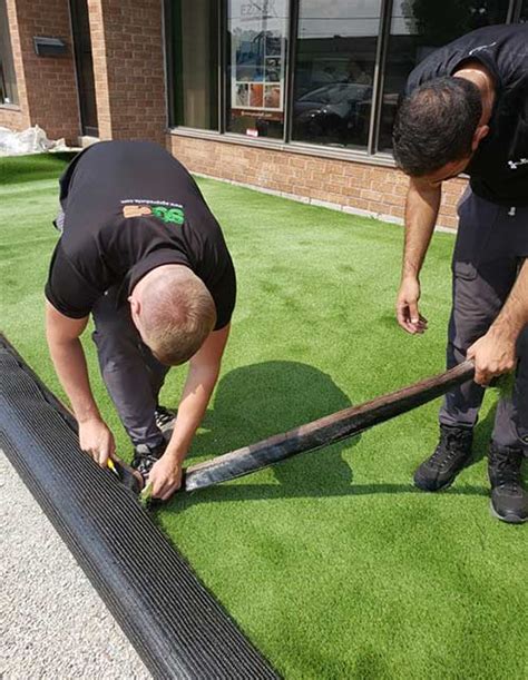 We did not find results for: How Much Does Artificial Grass Cost in Canada? - SGC