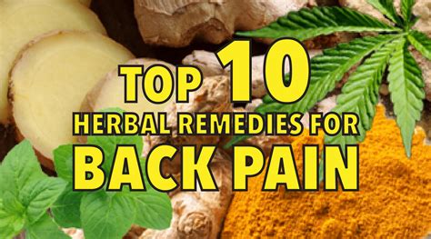 Top 10 Natural Herbal Remedies For Back Pain