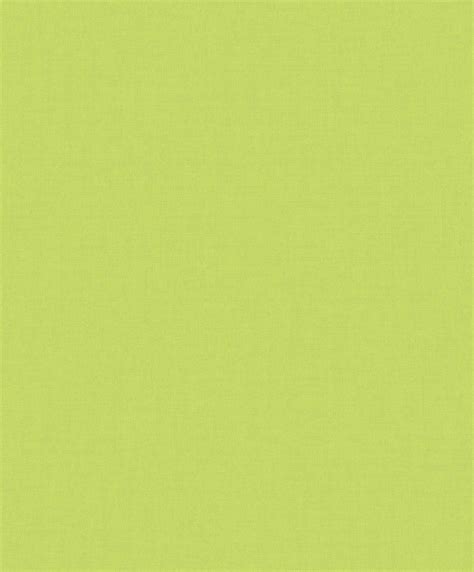 Plain Green Wallpapers Top Free Plain Green Backgrounds Wallpaperaccess
