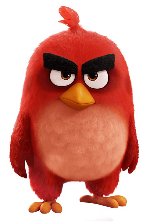 Angry Birds Pelicula Pájaro Rojo Png Transparente Stickpng