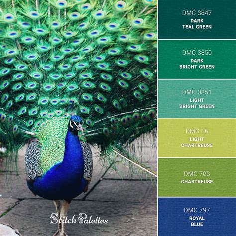 This color goes well with lighter brown cabinets, as you can see in the picture. Peacock Pride - Embroidery Color Palette (With Thread Codes)