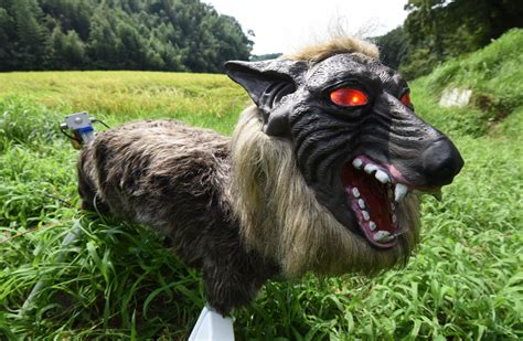 Terrifying 'Super Monster Wolf' Is a Robotic Pet That Will Save Farms
