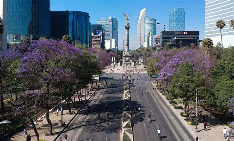 Las 9 Avenidas Más Bonitas De México Revista Vía México