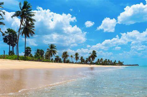 Nilaveli Beach Trincomalee Sri Lanka Ad Beach Nilaveli