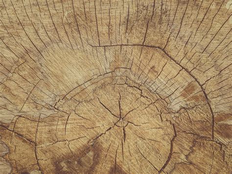 Cut Wood Texture Free Stock Photo Public Domain Pictures