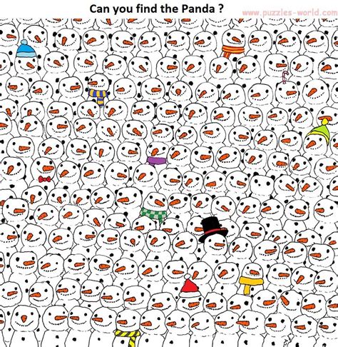 Can You Find The Panda Puzzles World