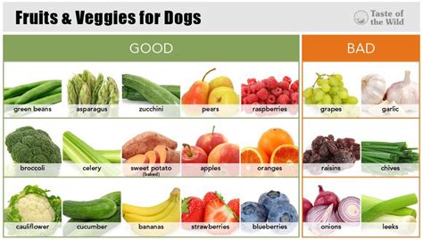 What Fruits And Vegetables Are Best For Dogs