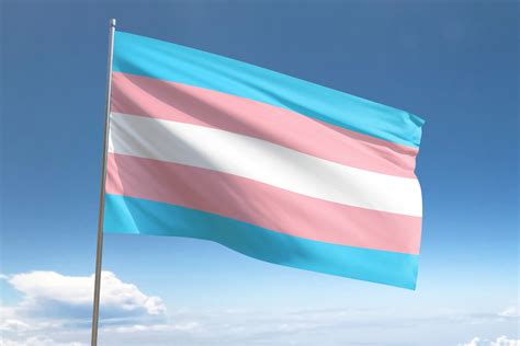 transgender pride flag