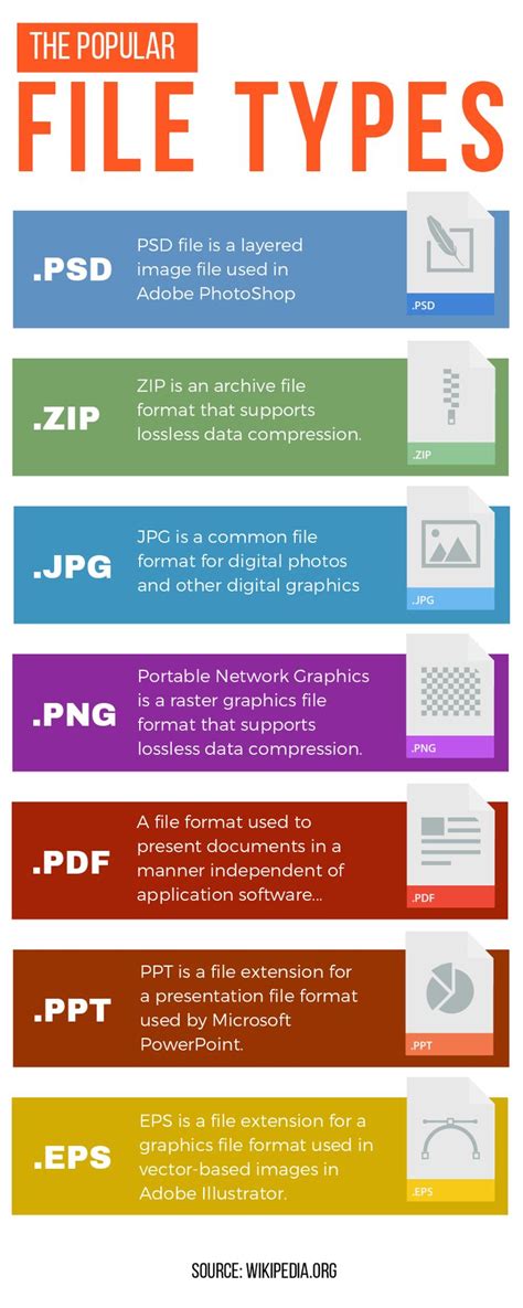 Popular File Types Infographics Visual Marketing Infographic