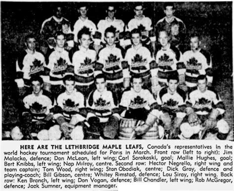 1950 51 Lethbridge Maple Leafs Ice Hockey Wiki Fandom