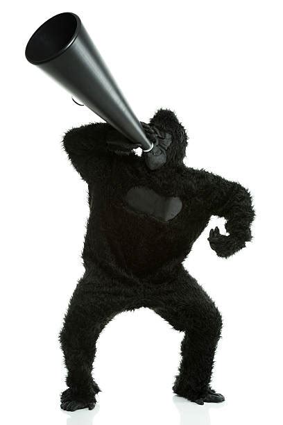 Top 60 Gorilla Scream Stock Photos Pictures And Images Istock