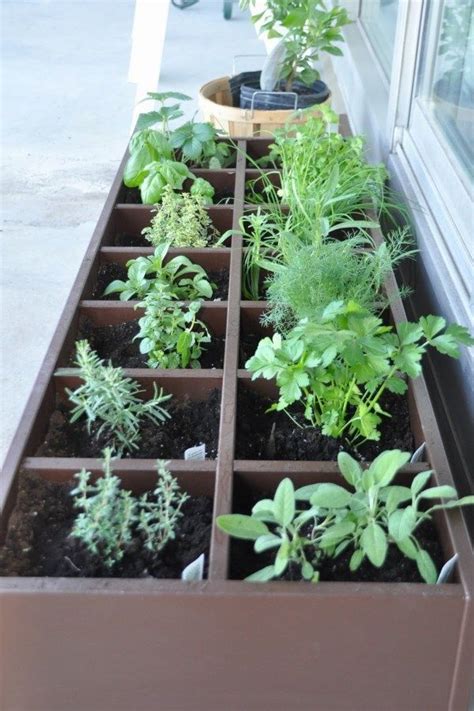 Photos of best herbs to grow indoor and outdoor gardens. 50 Creative Herb Garden Designs To Try Herb Gardening Design No. 4964 #homeindustrialdecor ...