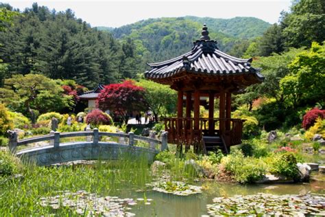 Vita In Vitro The Garden Of Morning Calm The Most Beautiful Korean