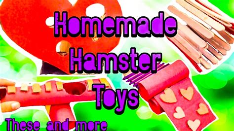 Homemade Hamster Toys Youtube