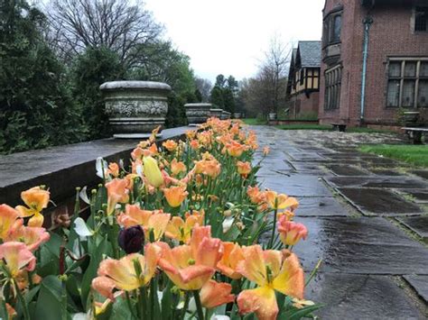 Stan Hywet Hall Gardens Opens For Spring With Entertaining Theme