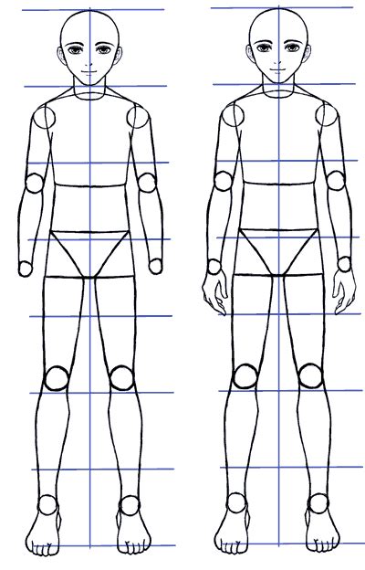 Manga Boy Body Proportions Step By Step Tutorial For Drawing