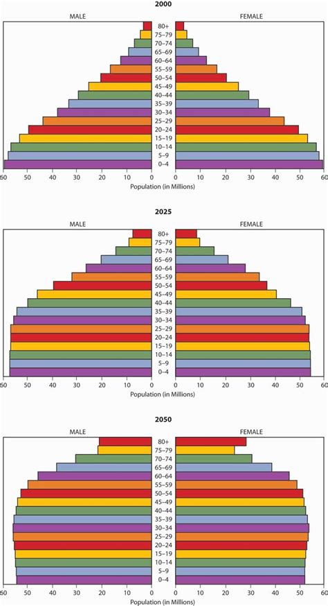 Any social security system presupposes a balanced population pyramid, and declining birth and death rates have brought shocks to that pyramid. Global Trends and Their Impact on Demography and the Life ...