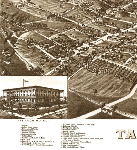 Tallahasssee Florida In 1885 Birds Eye View Map Aerial Panorama
