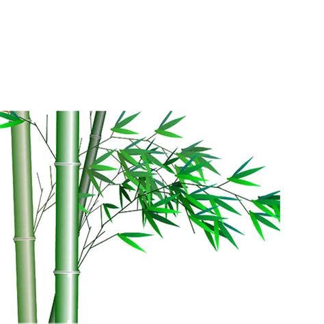 Bamboo Icon - bamboo png download - 2953*2953 - Free Transparent Bamboo png Download. - Clip Art ...