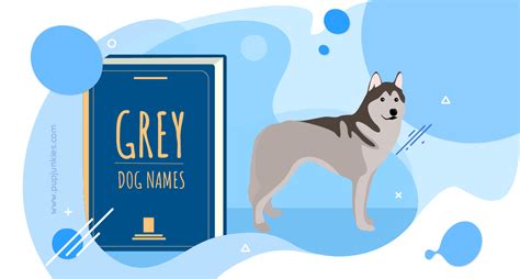 90 Most Popular Grey Dog Names Of 2021