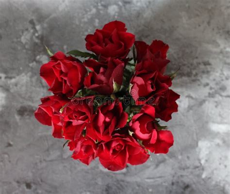 A Bunch Of Red Roses Stock Image Image Of Bunch Flowers 106497293