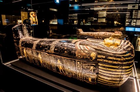 Ancient Egypt Visits Victoria With New Museum Exhibit Nexus Newspaper