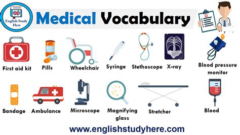 Medical Vocabulary English Study Here