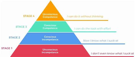 Stages Of Learning Four Stages