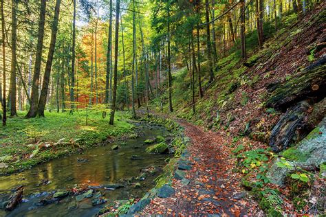 Autumn Fall Wild River Doubrava Picturesque Landscape Photograph By