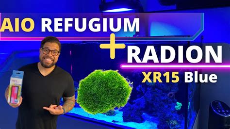 Radion Xr15 Blue Aio Refugium Reef Update Youtube