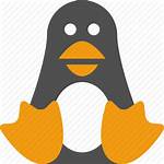 Penguin Icon Linux Arctic Bird Antarctica Animal