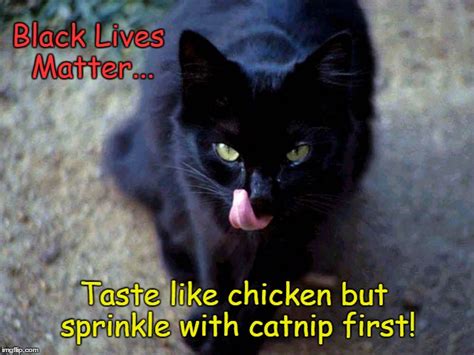 Share the best gifs now >>>. Black cat thinks Black Lives Matter taste like chicken ...