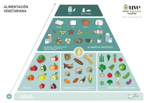 Pir Mide De La Alimentaci N Vegetariana Uni N Vegetariana Espa Ola Uve