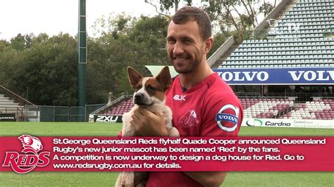 The power of the mullet. Quade Cooper announced Queensland Rugby's new junior ...